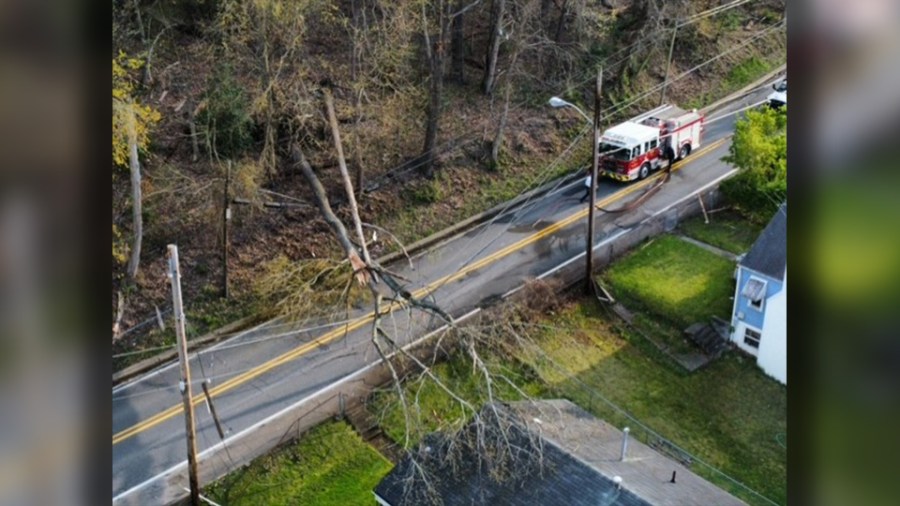 A tree fell across the Kanawha Turnpike in South Charleston Monday, April 8, taking down some power lines. (Photo Courtesy: Dan Ameli)