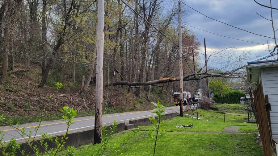 A tree fell across the Kanawha Turnpike in South Charleston Monday, April 8, taking down some power lines. (Photo Credit: WOWK 13 News Digital Sales Manager Krista Snodgrass)